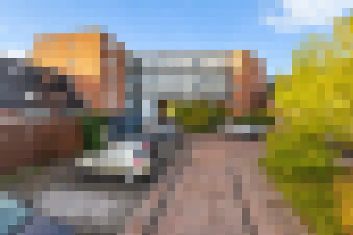 Erfwal 6 F Zwolle thumbnail 25