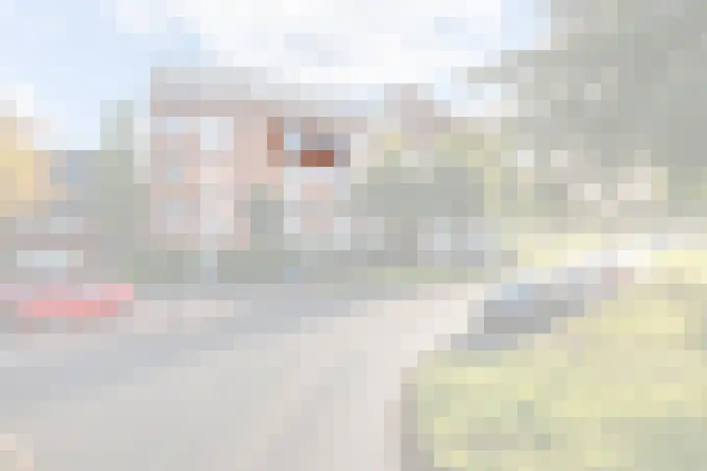 Erfwal 6 F Zwolle thumbnail 4