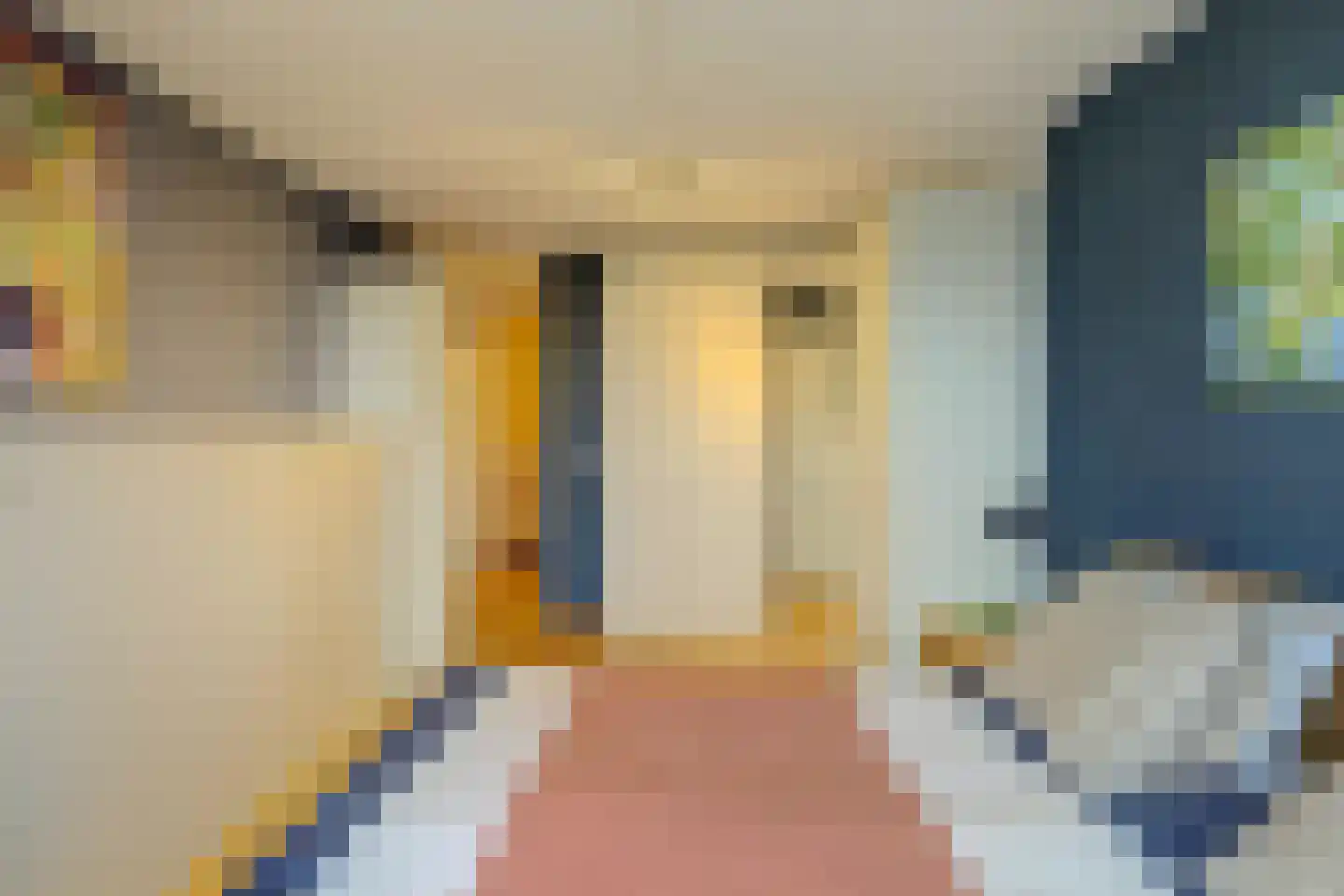 Eric Kropstraat 114 Rotterdam thumbnail 33