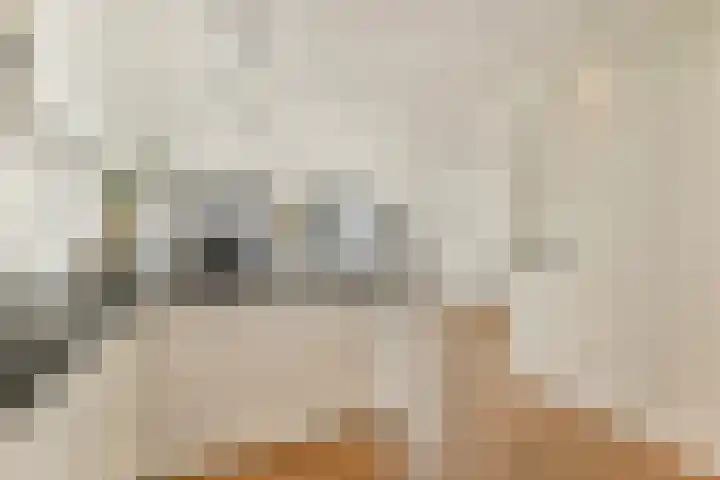 Eric Kropstraat 144 Rotterdam thumbnail 9
