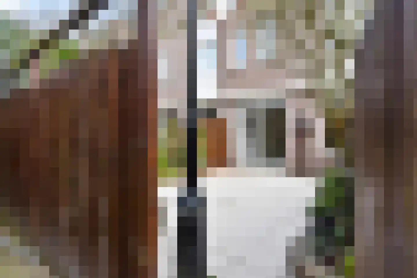 Eric Satieplantsoen 12 Den Haag thumbnail 13