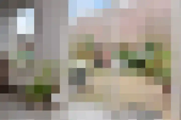 Eric Satieplantsoen 14 Den Haag thumbnail 10