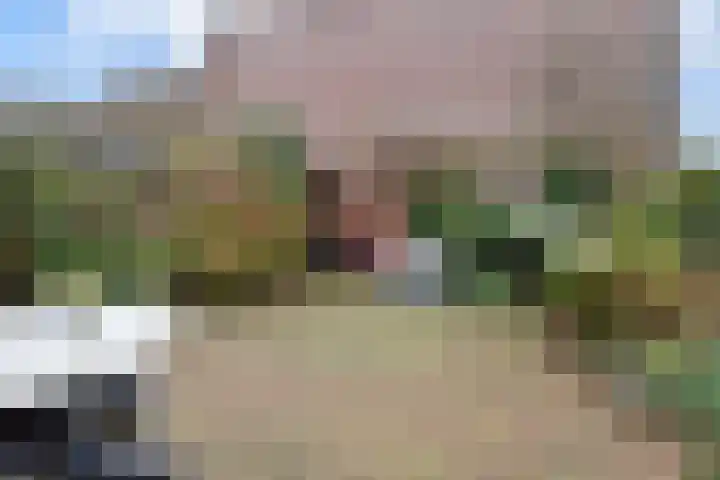 Eric Satieplantsoen 14 Den Haag thumbnail 11