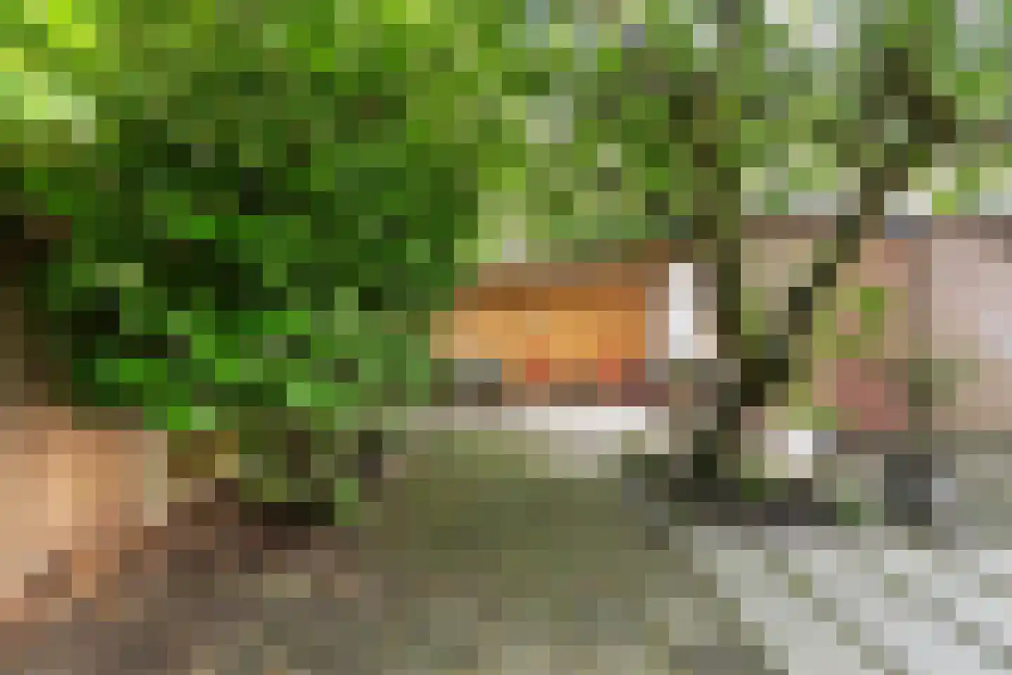 Erica 12 Dordrecht thumbnail 33