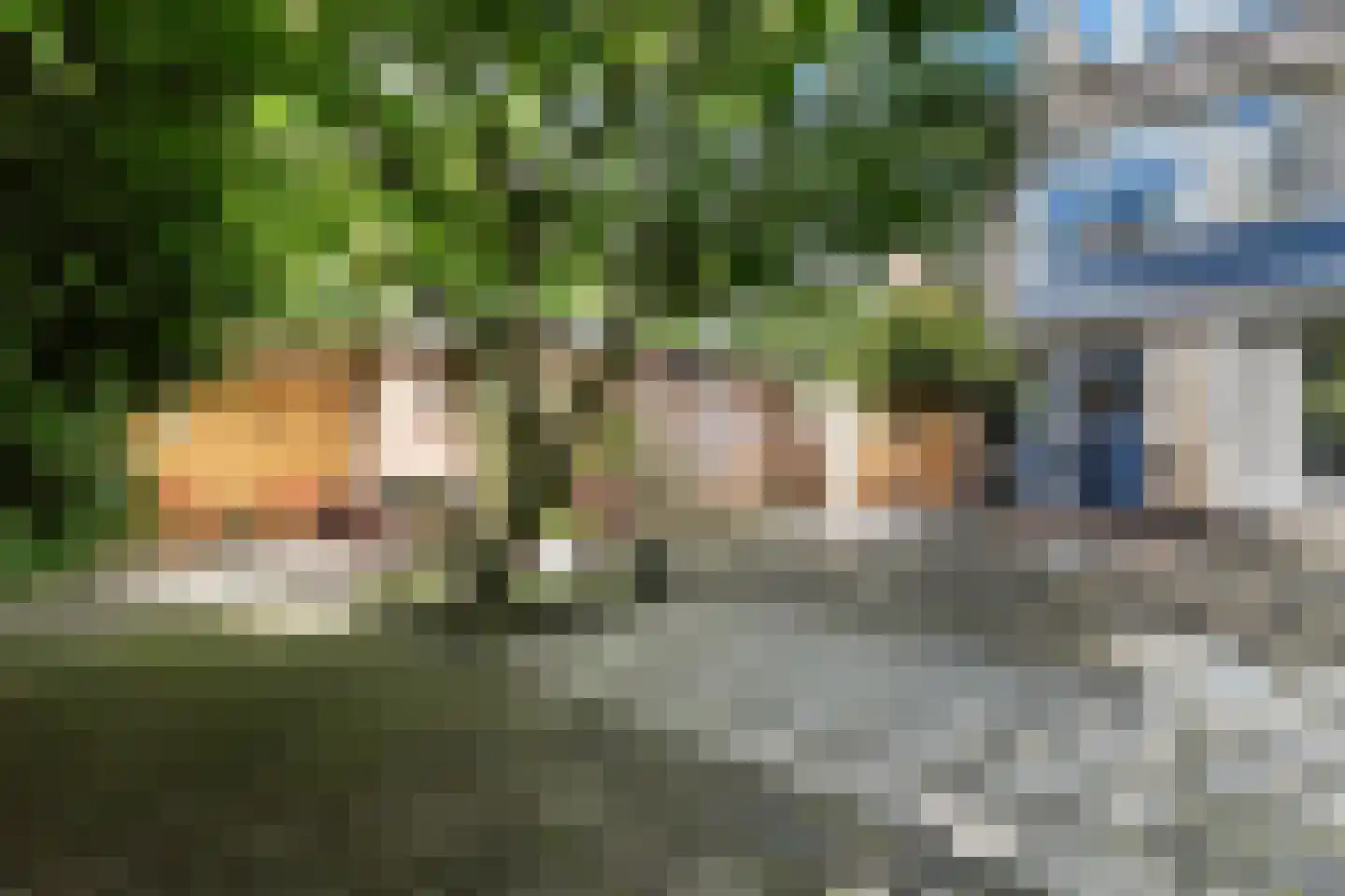 Erica 12 Dordrecht thumbnail 34