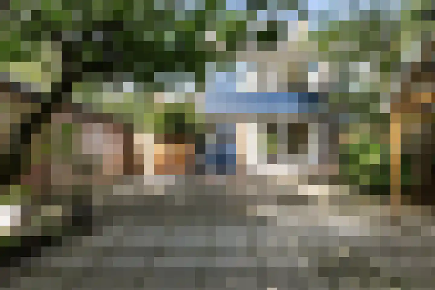 Erica 12 Dordrecht thumbnail 38