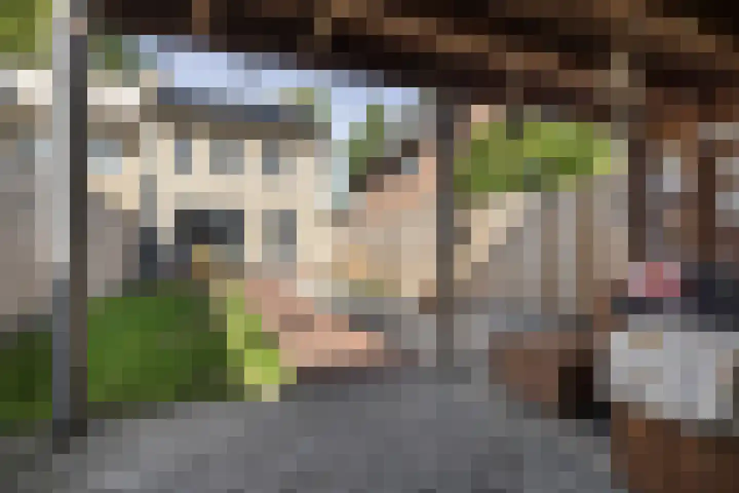 Erica 15 Oost West en Middelbeers thumbnail 27