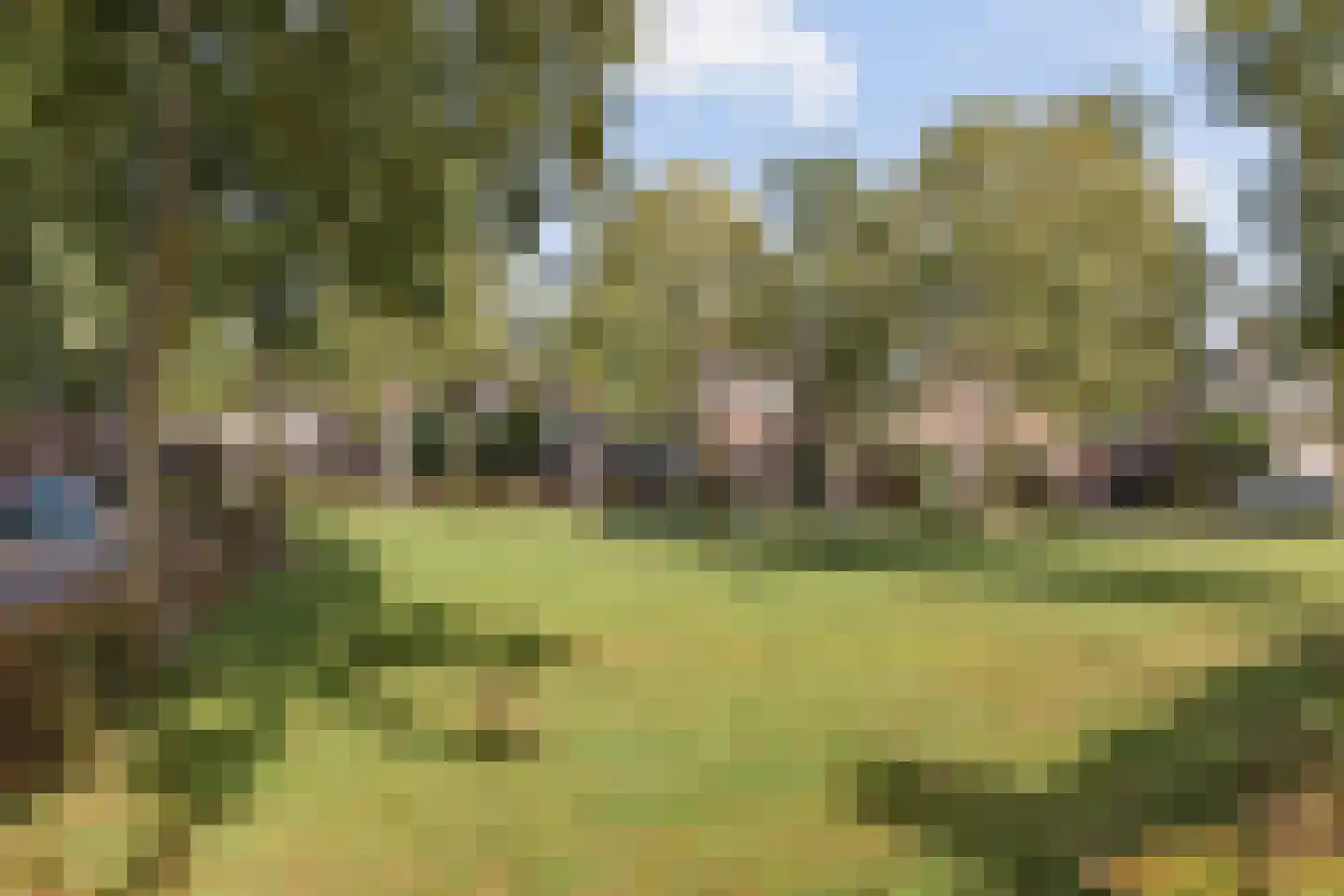 Erica 15 Oost West en Middelbeers thumbnail 34