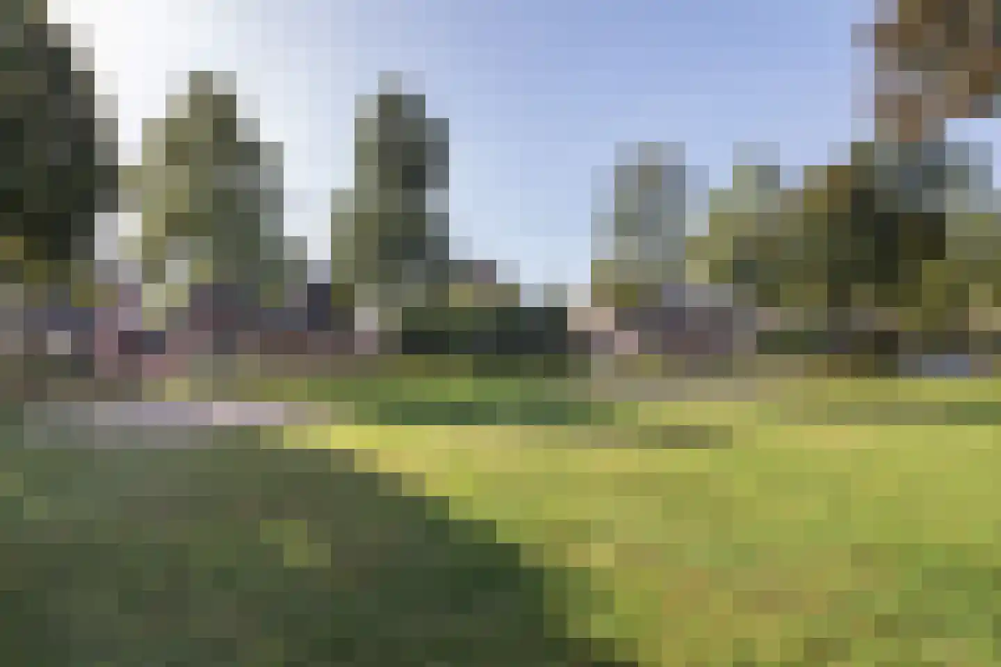 Erica 15 Oost West en Middelbeers thumbnail 35