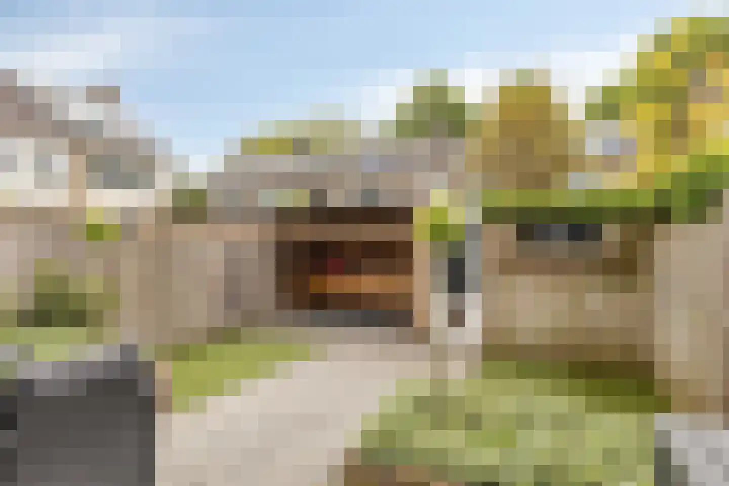 Erica 2 Dordrecht thumbnail 31
