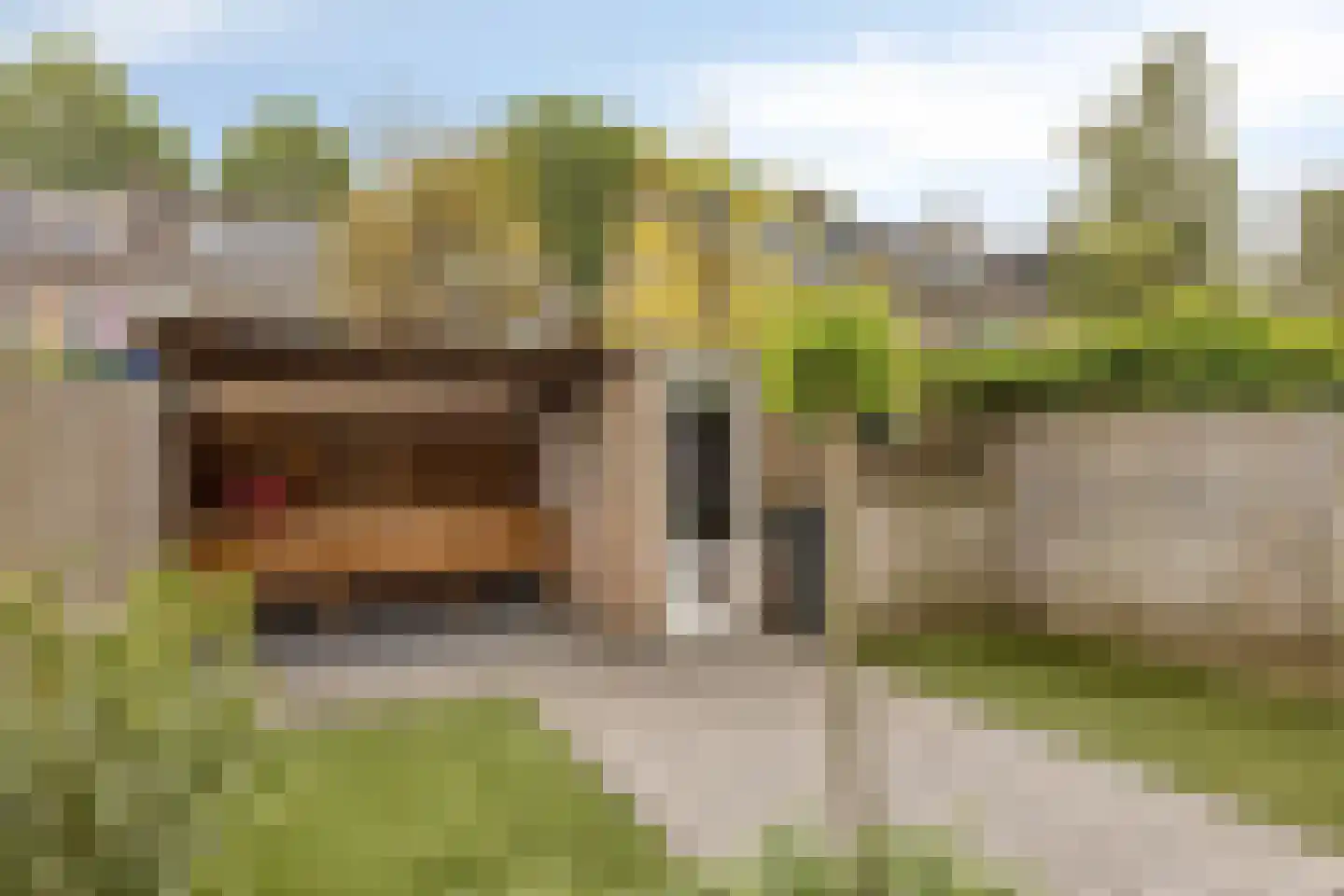 Erica 2 Dordrecht thumbnail 32