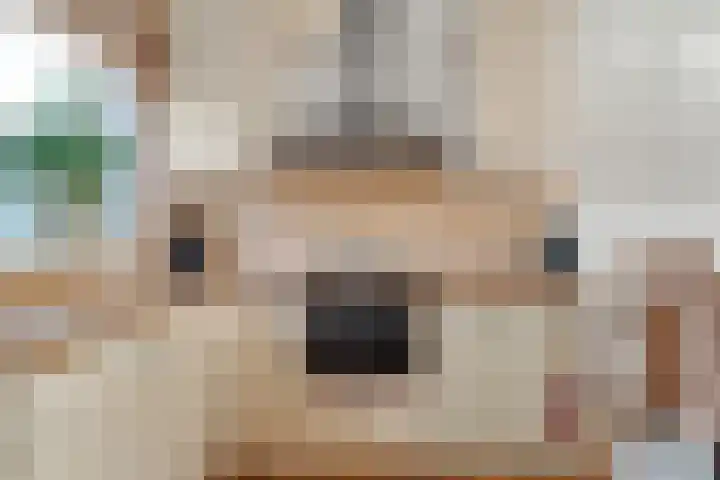 Ericahof 10 Losser thumbnail 17