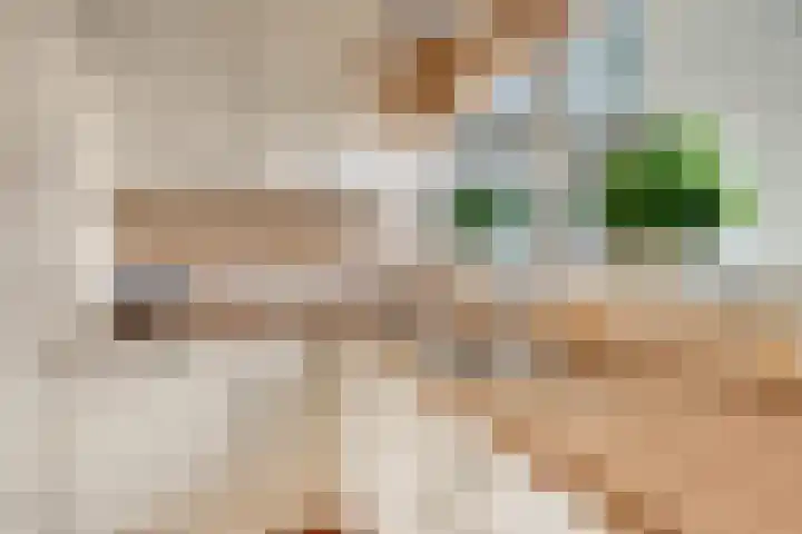 Ericahof 10 Losser thumbnail 20