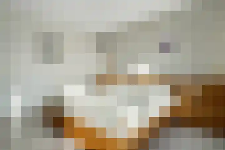 Ericahof 10 Losser thumbnail 22