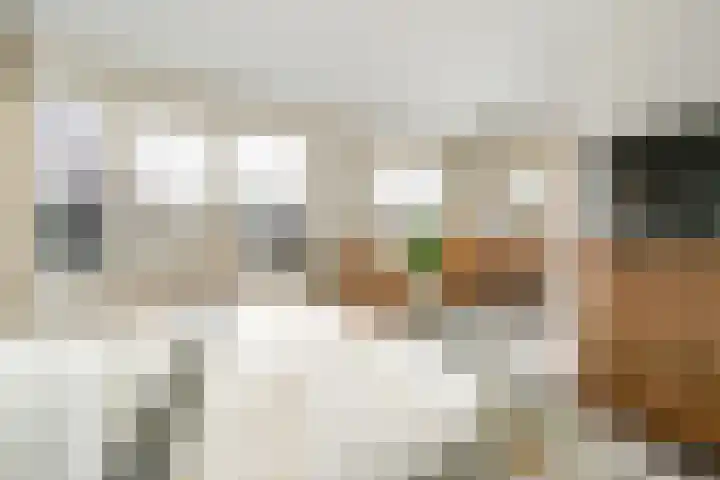 Ericahof 10 Losser thumbnail 24
