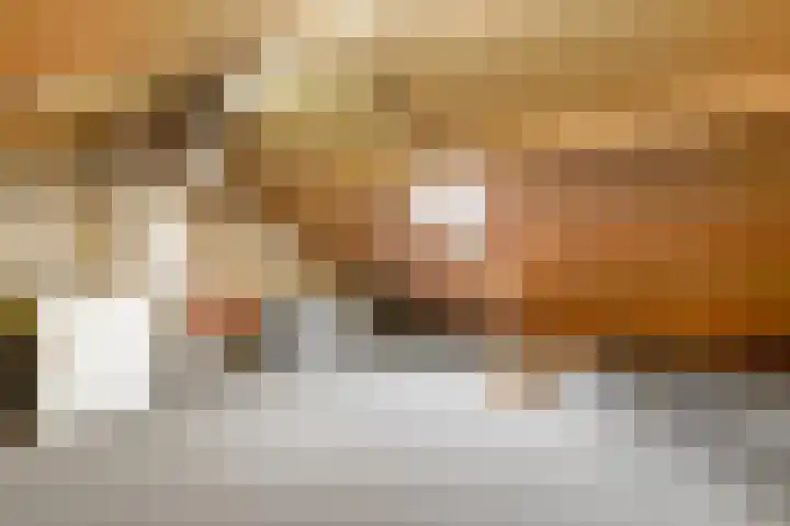 Ericahof 10 Losser thumbnail 32