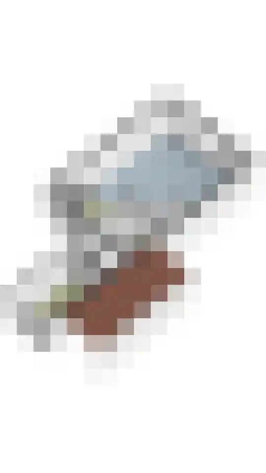 Ericahof 10 Losser thumbnail 43