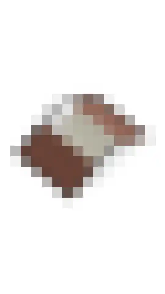Ericahof 10 Losser thumbnail 45