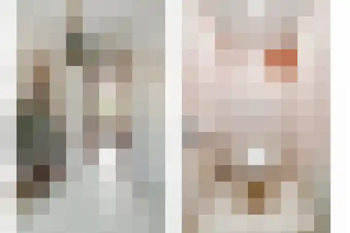 Ericahof 10 Losser thumbnail 7