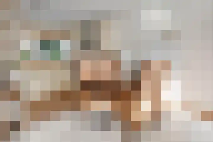 Ericahof 10 Losser thumbnail 9