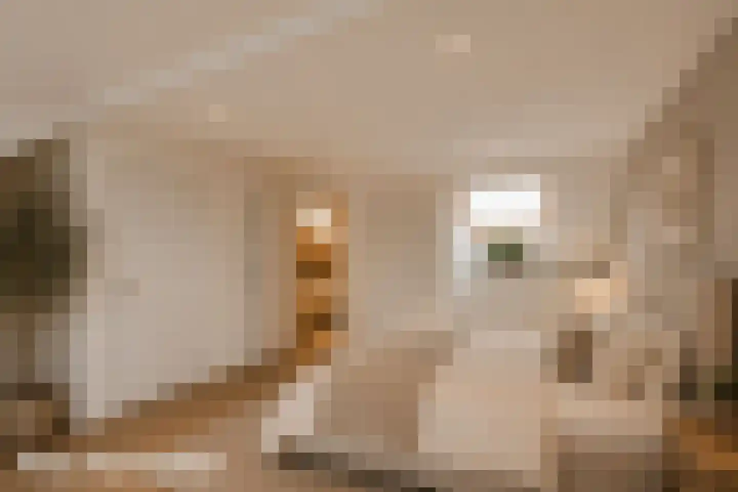 Ericahof 2 Baarn thumbnail 25