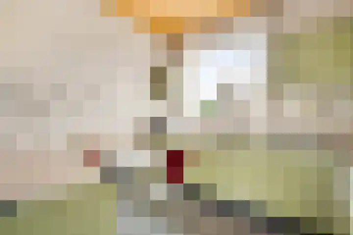 Ericalaan 1 Neer thumbnail 10