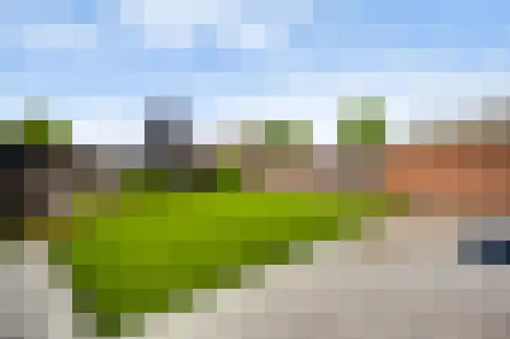 Ericalaan 1 Neer thumbnail 21