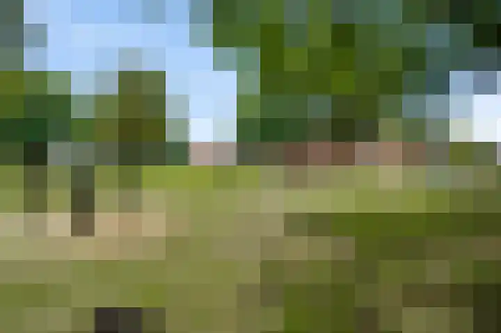 Ericalaan 1 Neer thumbnail 28