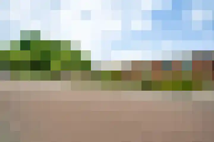 Ericalaan 1 Neer thumbnail 29