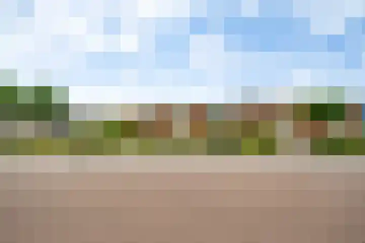 Ericalaan 1 Neer thumbnail 30