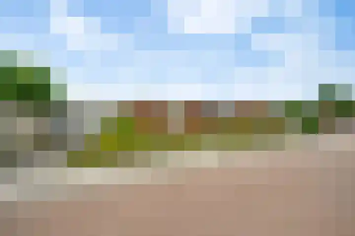 Ericalaan 1 Neer thumbnail 31