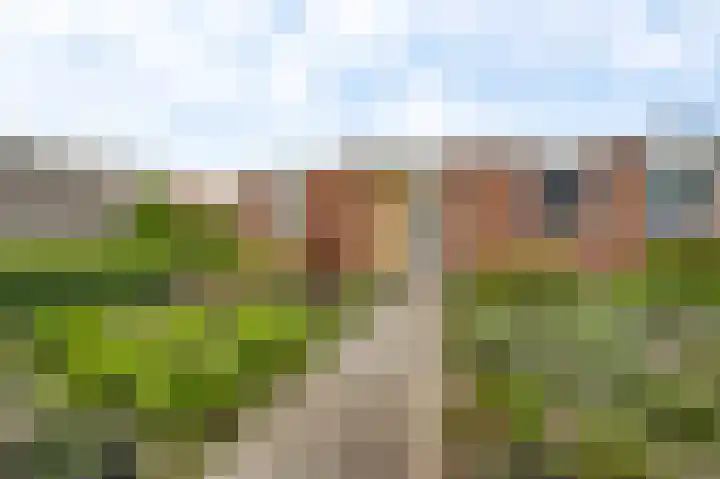 Ericalaan 1 Neer thumbnail 33