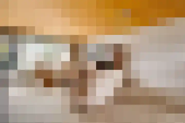 Ericalaan 1 Neer thumbnail 5
