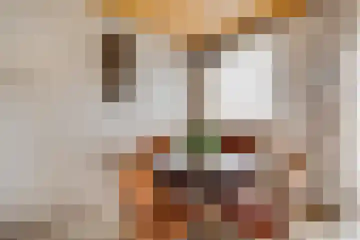 Ericalaan 1 Neer thumbnail 8