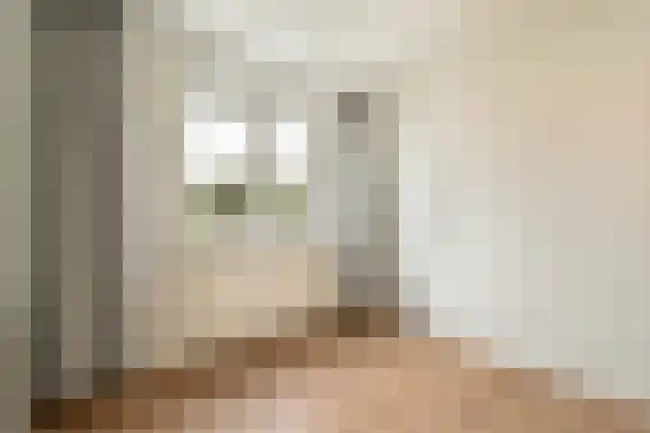 Ericalaan 10 Gouda thumbnail 20