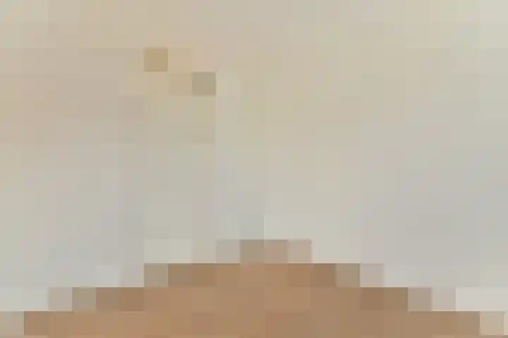 Ericalaan 10 Gouda thumbnail 22