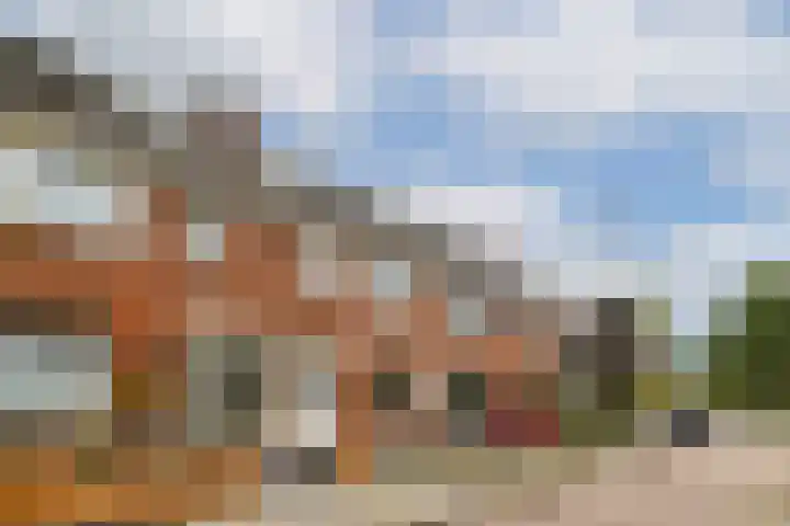Ericalaan 10 Gouda thumbnail 5