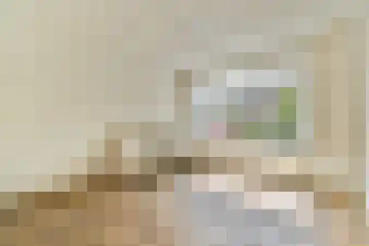 Ericalaan 10 Gouda thumbnail 7