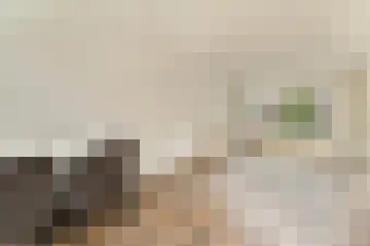 Ericalaan 10 Gouda thumbnail 9