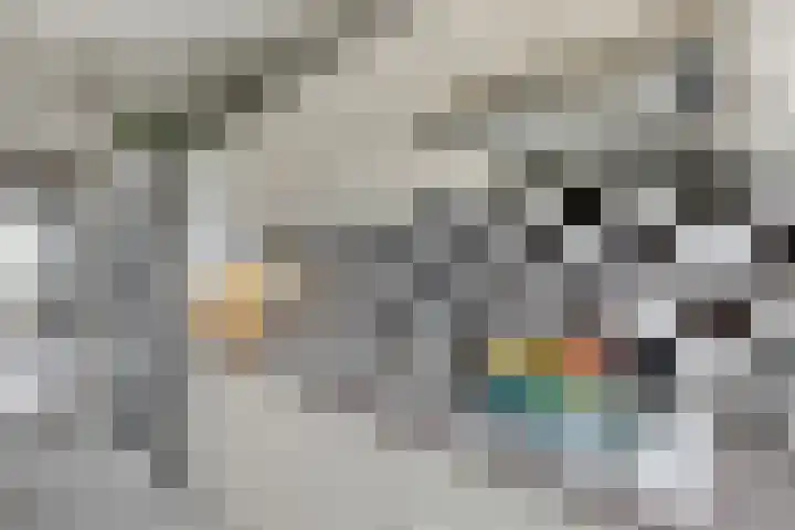 Ericalaan 101 Hoogeveen thumbnail 15
