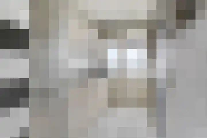 Ericalaan 101 Hoogeveen thumbnail 16