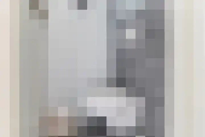 Ericalaan 101 Hoogeveen thumbnail 17