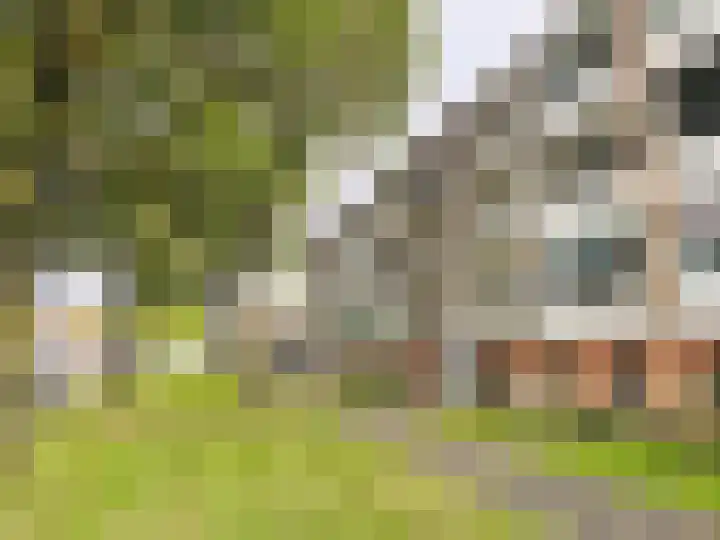 Ericalaan 101 Hoogeveen thumbnail 20