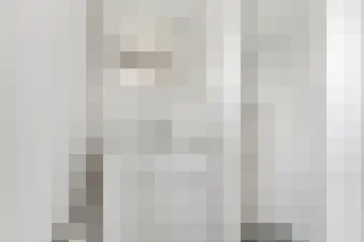 Ericalaan 101 Hoogeveen thumbnail 4