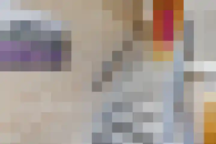 Ericalaan 101 Hoogeveen thumbnail 8