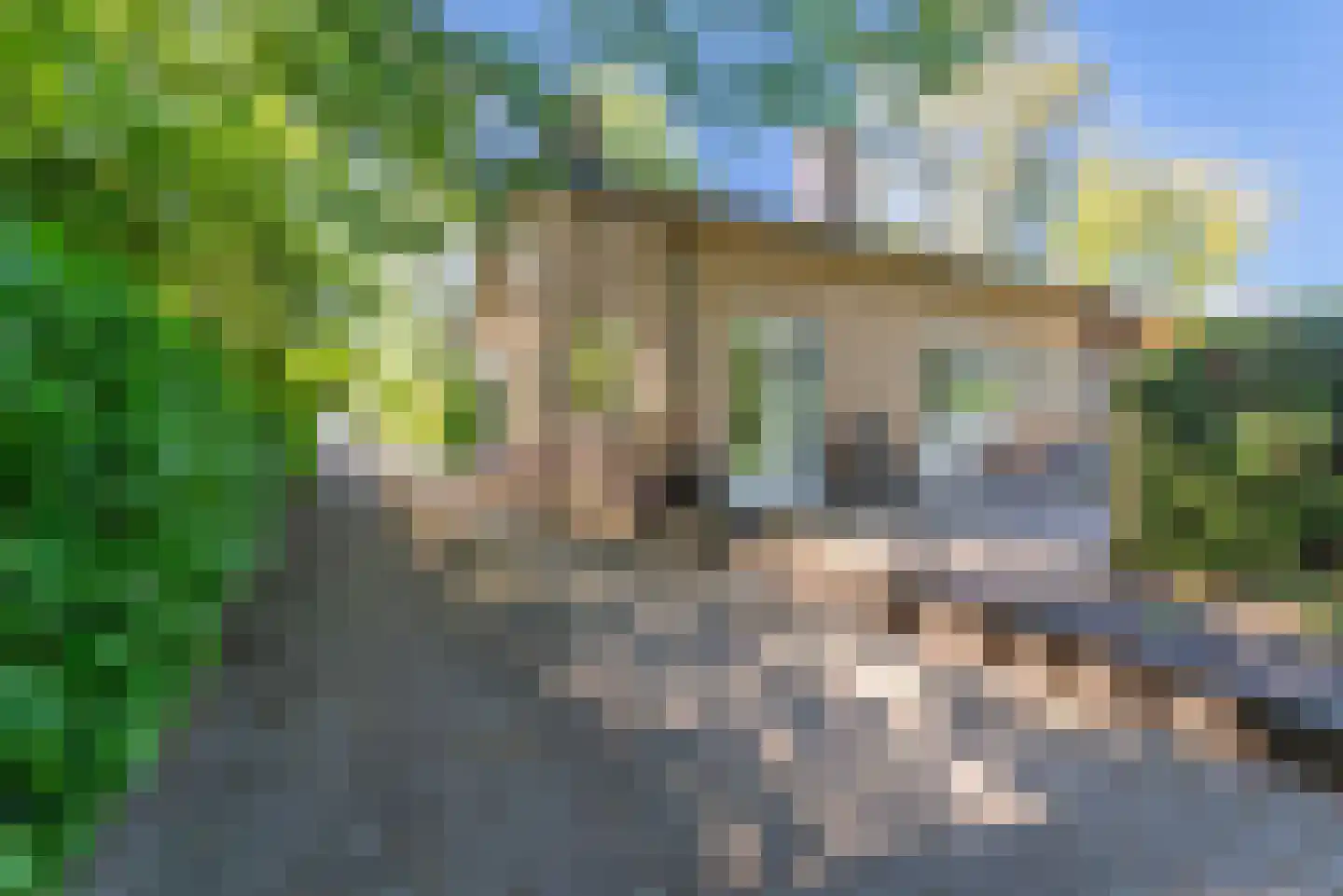 Ericalaan 11 Rhenen thumbnail 17