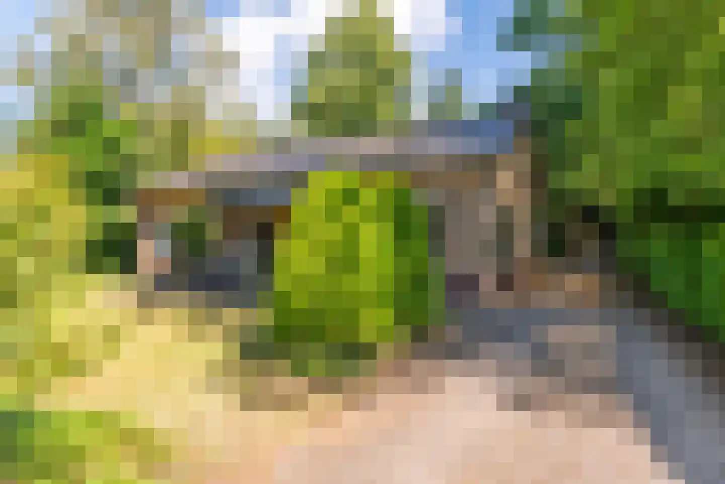 Ericalaan 11 Rhenen thumbnail 21