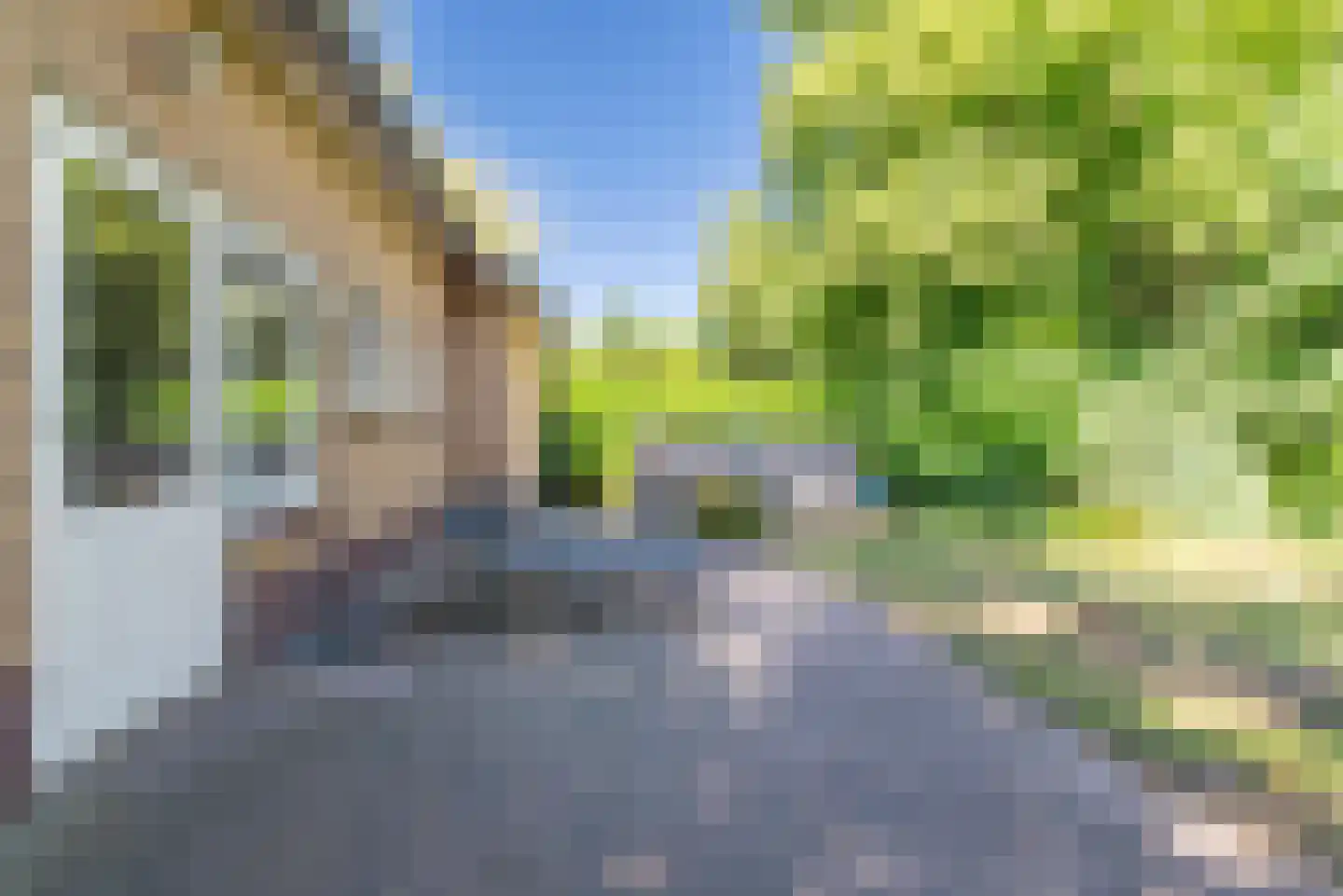 Ericalaan 11 Rhenen thumbnail 31