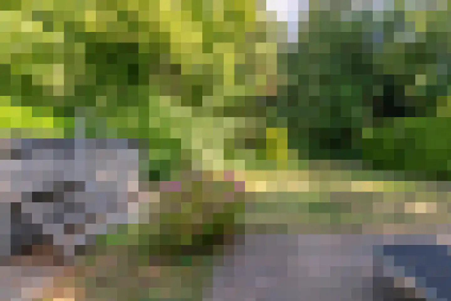 Ericalaan 11 Rhenen thumbnail 33