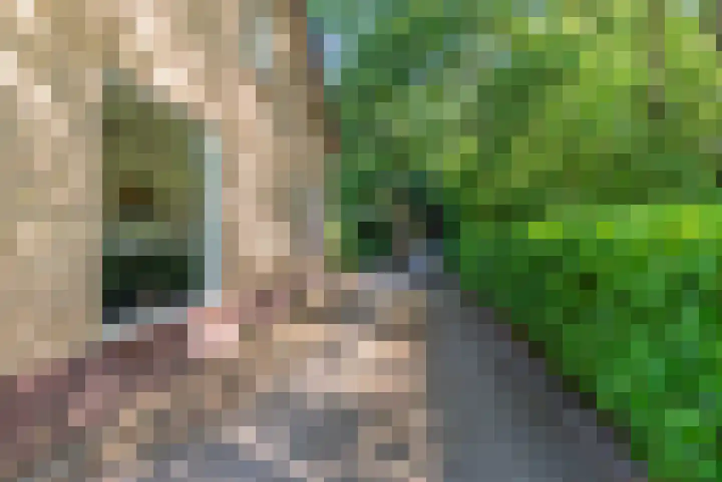 Ericalaan 11 Rhenen thumbnail 35